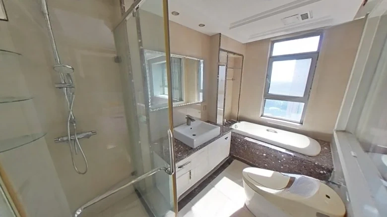 Shimao New Wulihe - View 11