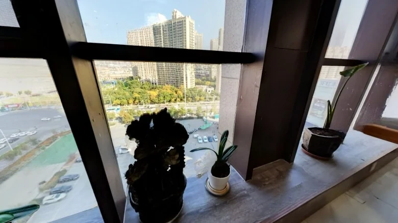 Haihong International - View 8