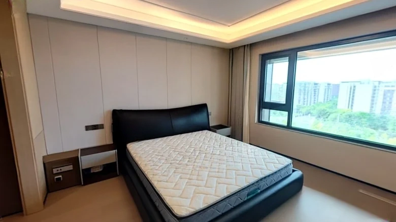 Wuhou Jinmao Mansion Phase III - View 4