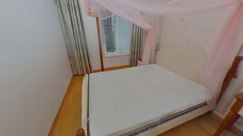 Shimao Lakefront Mansion B District - View 3