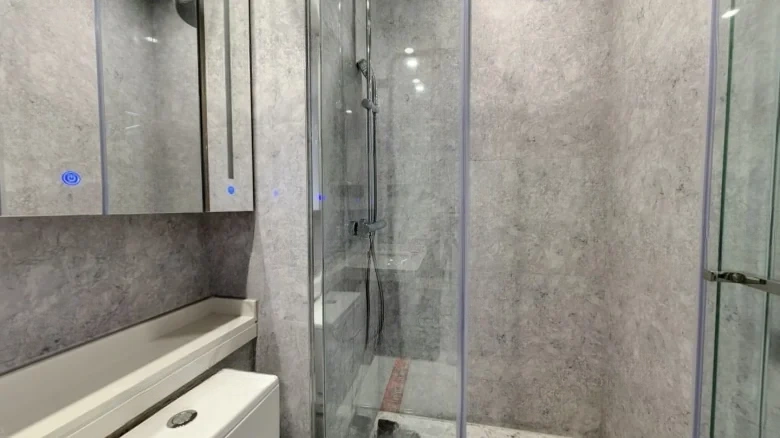 Rising Sun辉·Platinum悦 Xiangjiang - View 10