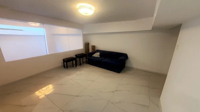 Jinglin Original Manuscript - View 4