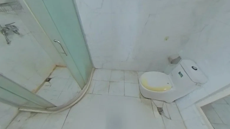 Zhengjia Oriental International - View 7