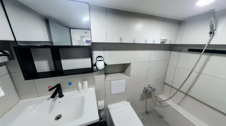 Xin Chu Qingtian Plaza - View 9