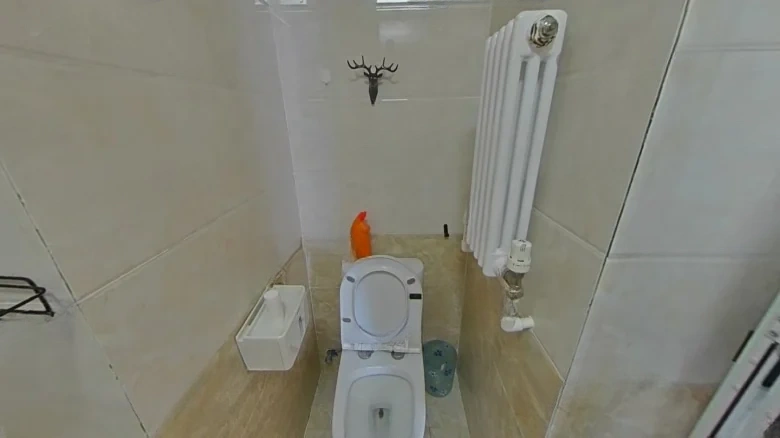 Donggang Swan Bay - View 7