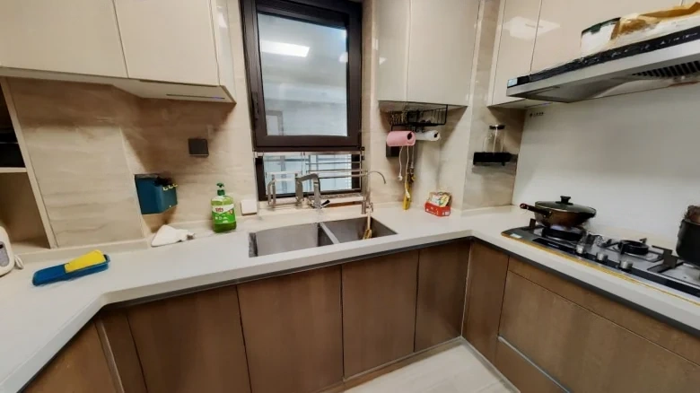 Yanlord Century Park - View 5