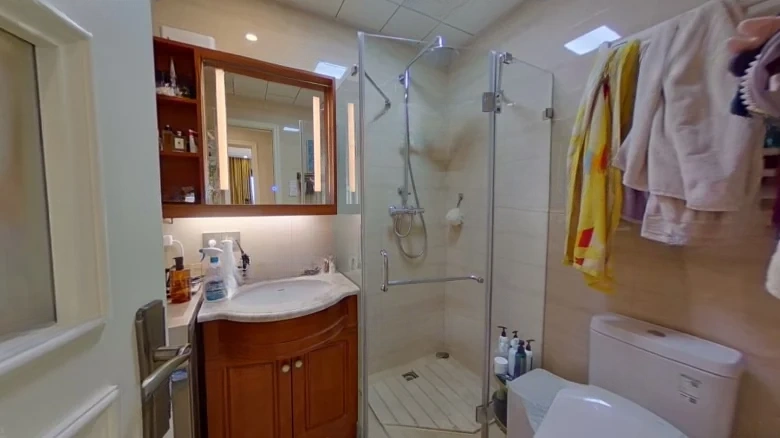 Oak Forest County - View 6