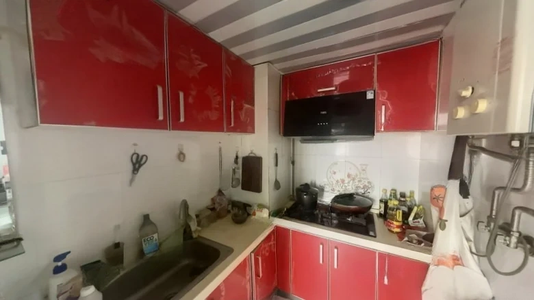 Lishui Lotus Flower - View 4