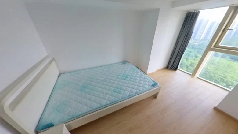 JinDi Center Elite Apartments - View 3