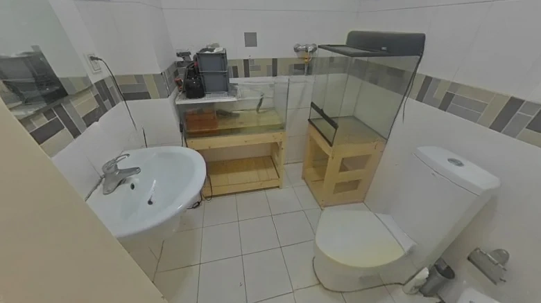 Eternal Prosperity Azure Coast - View 10