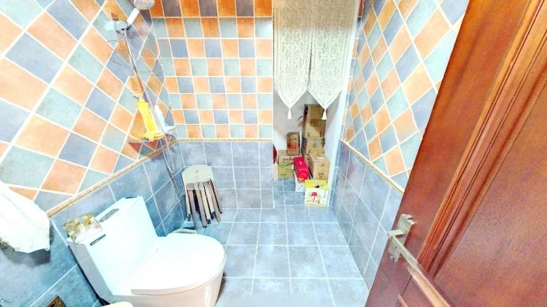 Green City Peach Blossom Spring - View 11