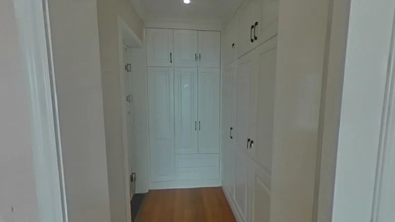 Zhan Cheng Lin Feng Qin林Yuan - View 5