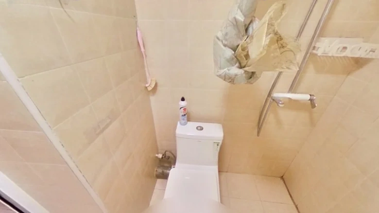 Nanhu Central Park Phase I - View 9