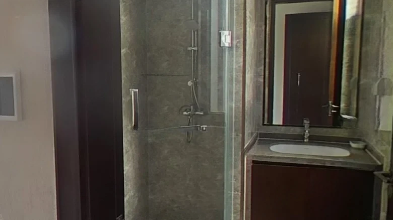 Green City Nanjing Peach Blossom Source - View 25