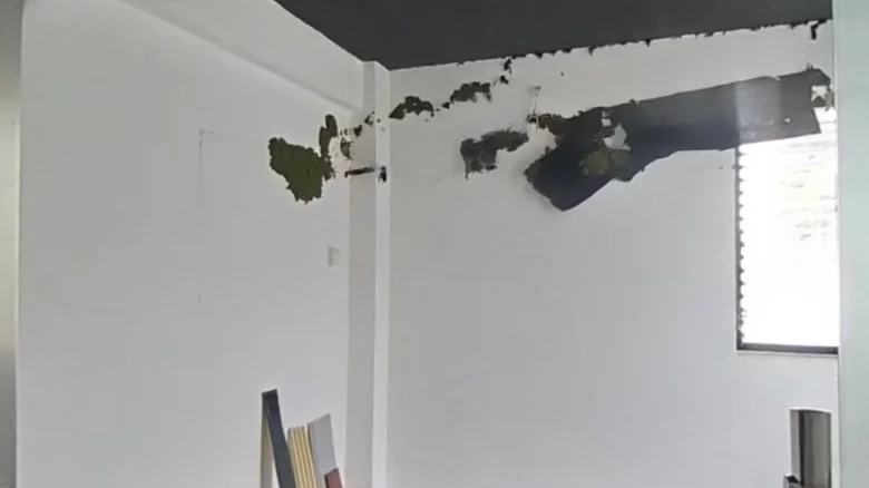 Jindi Ziruicheng East Garden - View 4