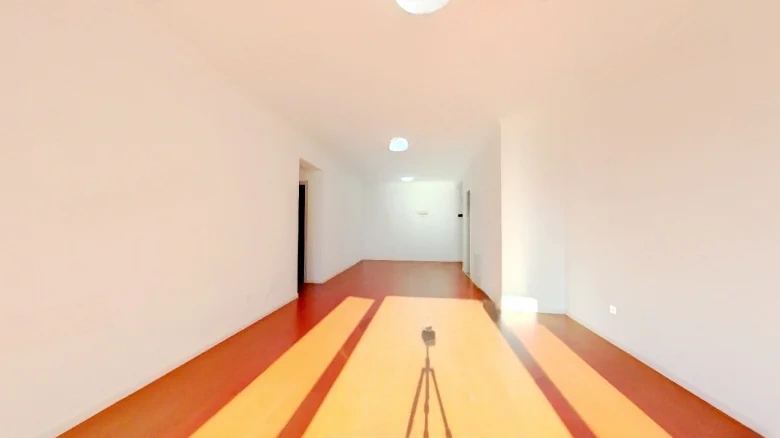 South Central Apartments - View 4