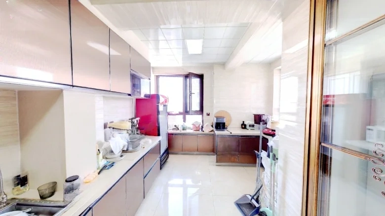 Peninsula Mansion - View 7