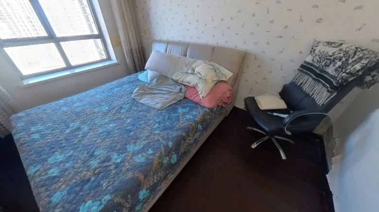 Shimao Xin Wulihu - View 4