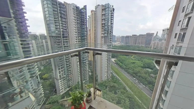 Renowned Peak - View 18