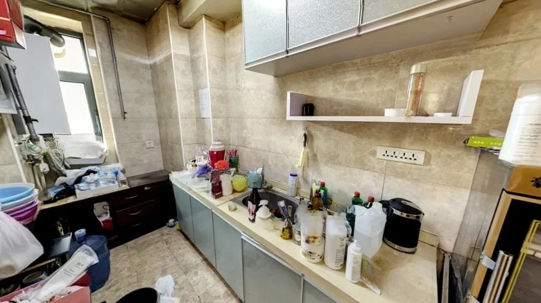 COLI International - View 8