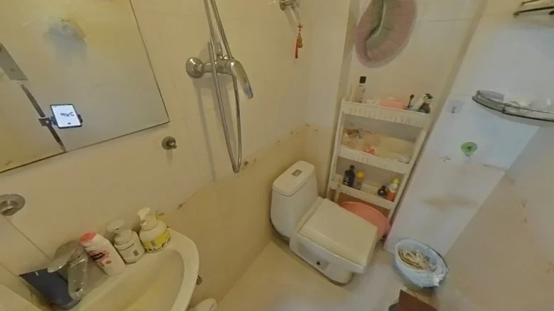 Golden Lion Garden - View 4