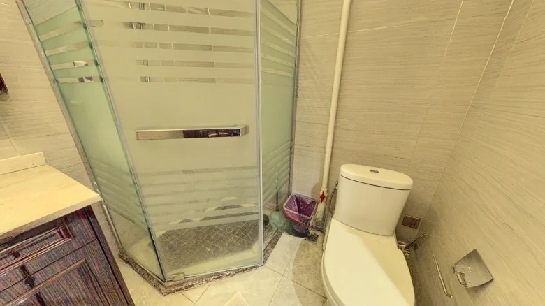 Pearl River Lyceum Pu Shu - View 12