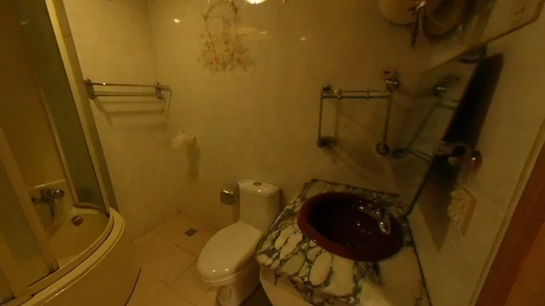 Garden in the City (Lin'an) - View 14