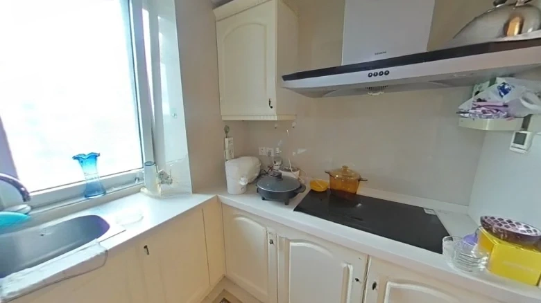 Xinhua Jin Edinburgh International Apartment - View 8