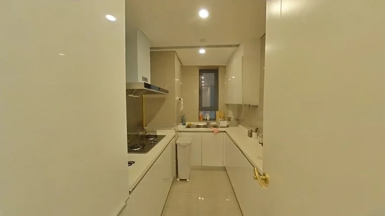 China Resources Center Joy Residence - View 6