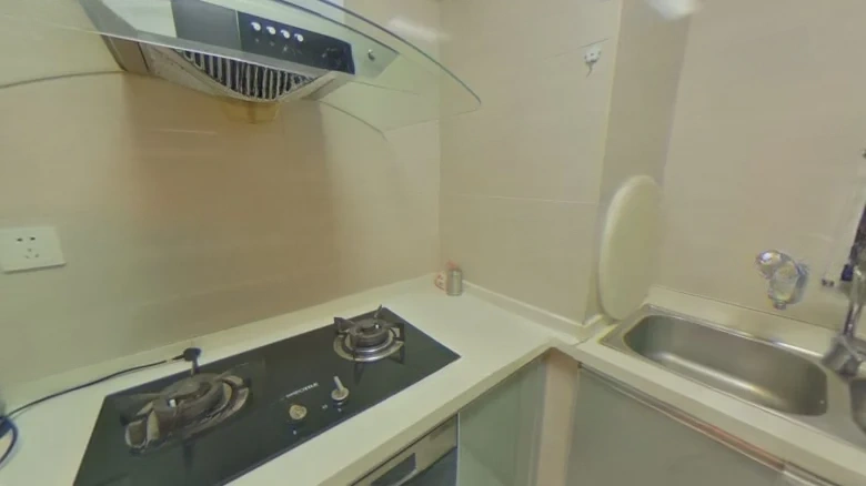 Vanke City Phase VIII - View 6