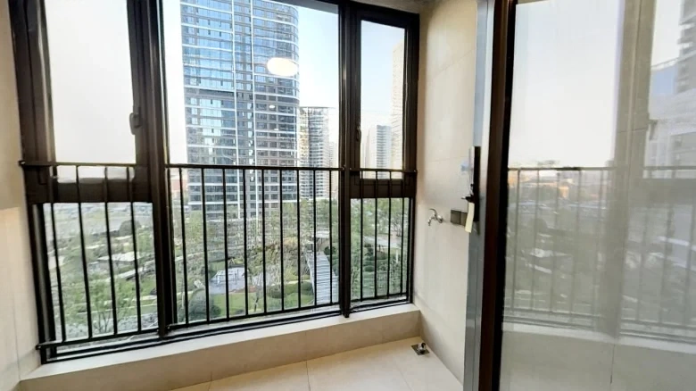 Rising Radiance · Platinum Yue Xiangjiang - View 14