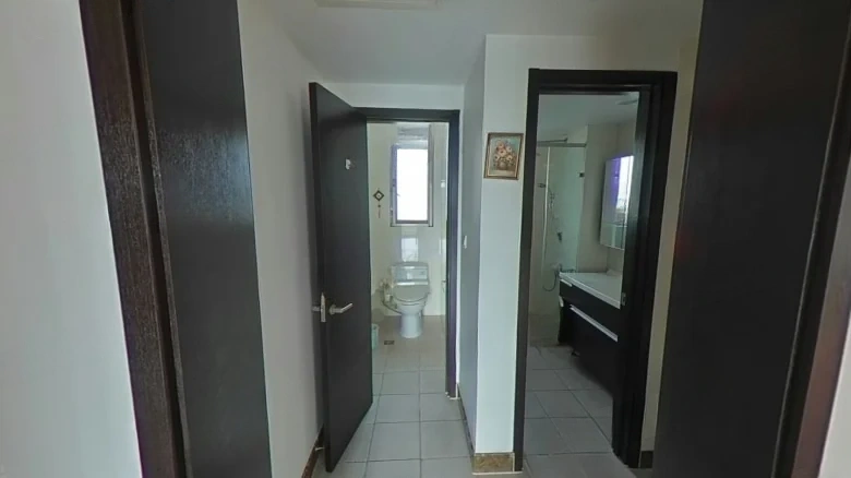 Harmonious Windy Elegance - View 9