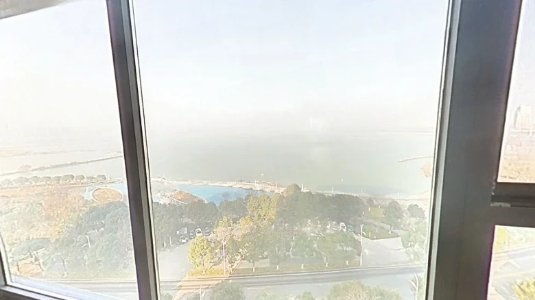 Platinum Delight Rhinoceros Lake - View 12