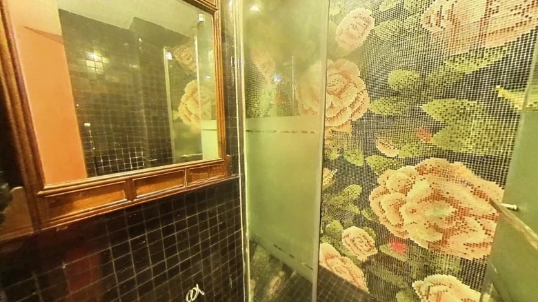 Shinkansen Tower - View 12