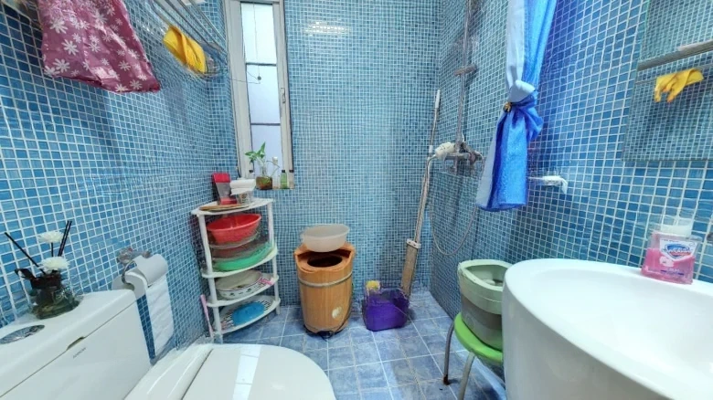 Sunshine Yard Above - View 12