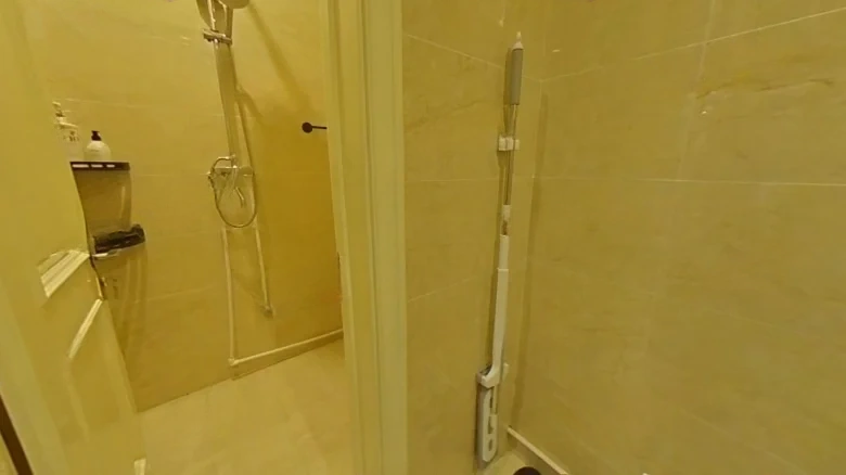 Spring Virtue Street - View 20