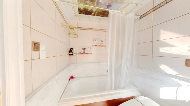 Shunfa Imperial Garden - View 16