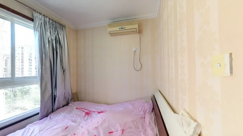 GuoRuiCity Central District - View 2