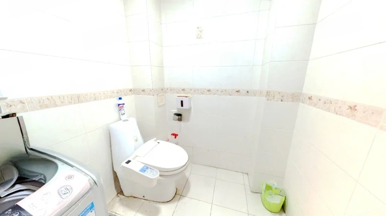 Merrill Town Lao Mountain - View 9