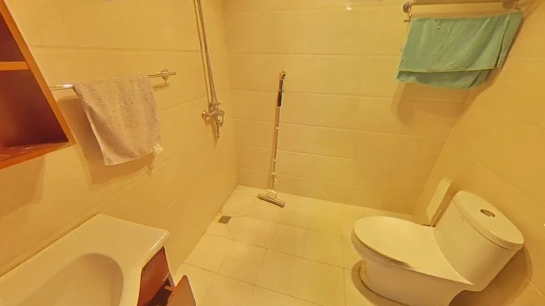 Lijing Magnificence Residence - View 6