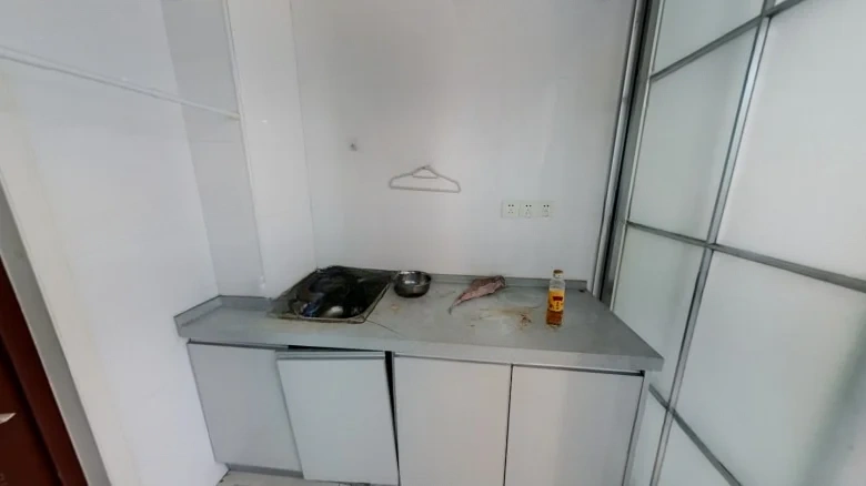 Fusion Saint International - View 4