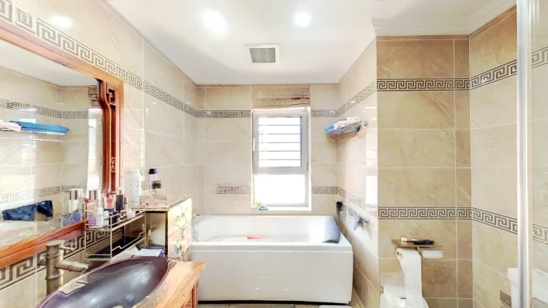 Shimao Xin Wu Li River - View 9