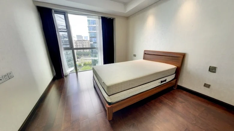 Chongqing Palmyra Spring International Center - View 2