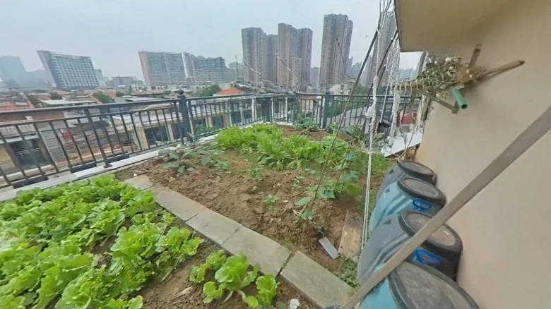 Nanshan Sudiano - View 22