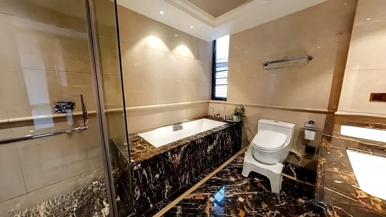 Unida Central Plaza - View 9