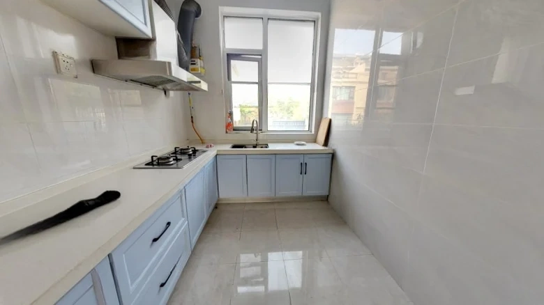 Silver Rich Tang District Rose Garden - View 8