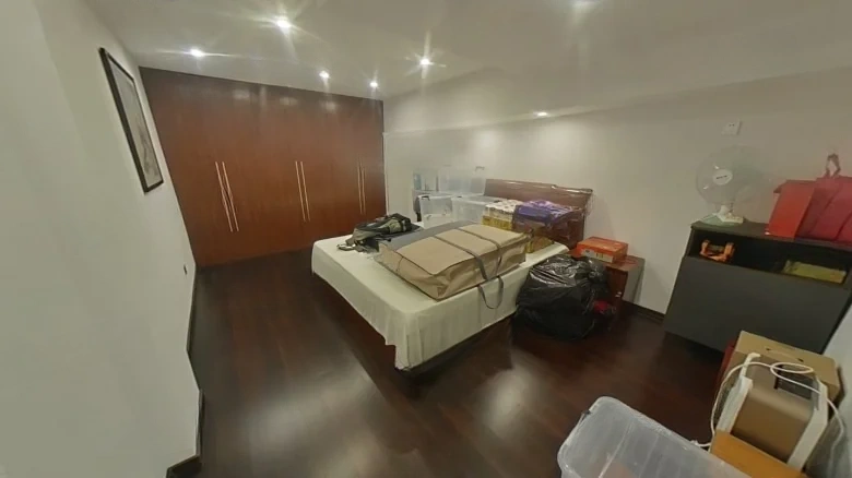 Green City Nanjing Peach Blossom Source - View 13