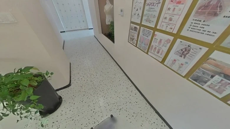 White Egret Eastern Garden - View 15