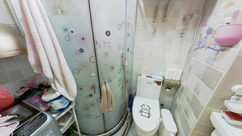 Nine Continents Imperial Mansion - View 5