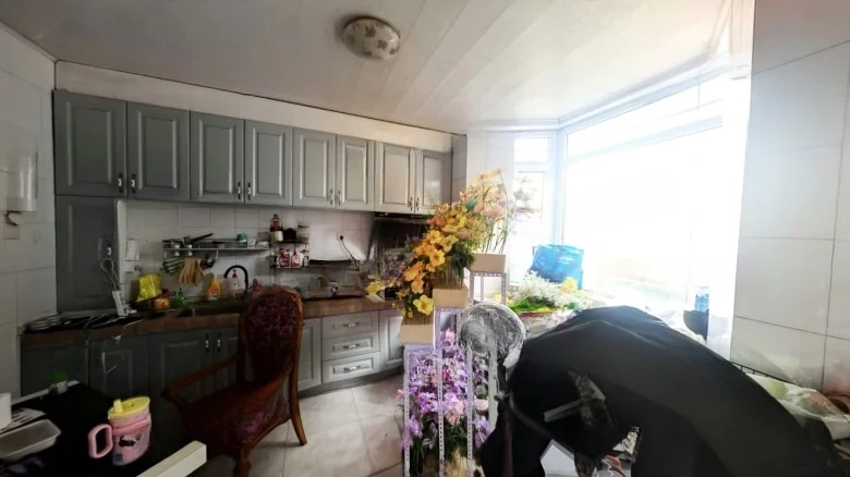 Maple Dew Imperial Garden - View 14